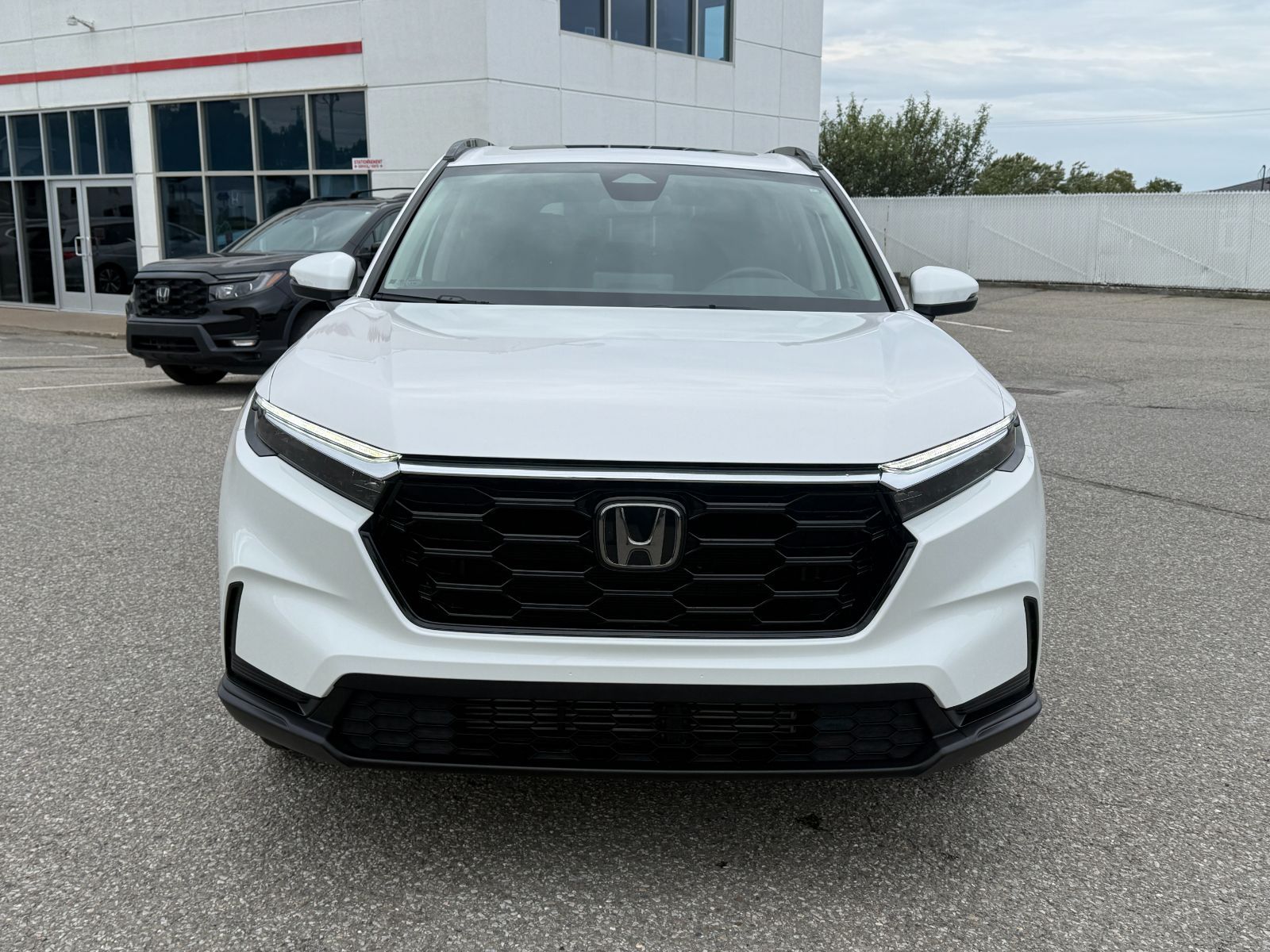 Photo Honda CR-V Sport 2025 #2