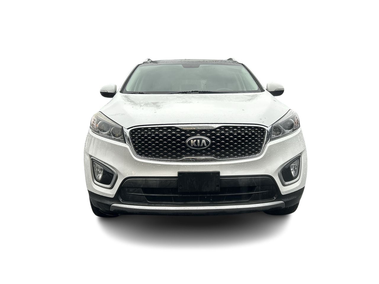 2016  Sorento
