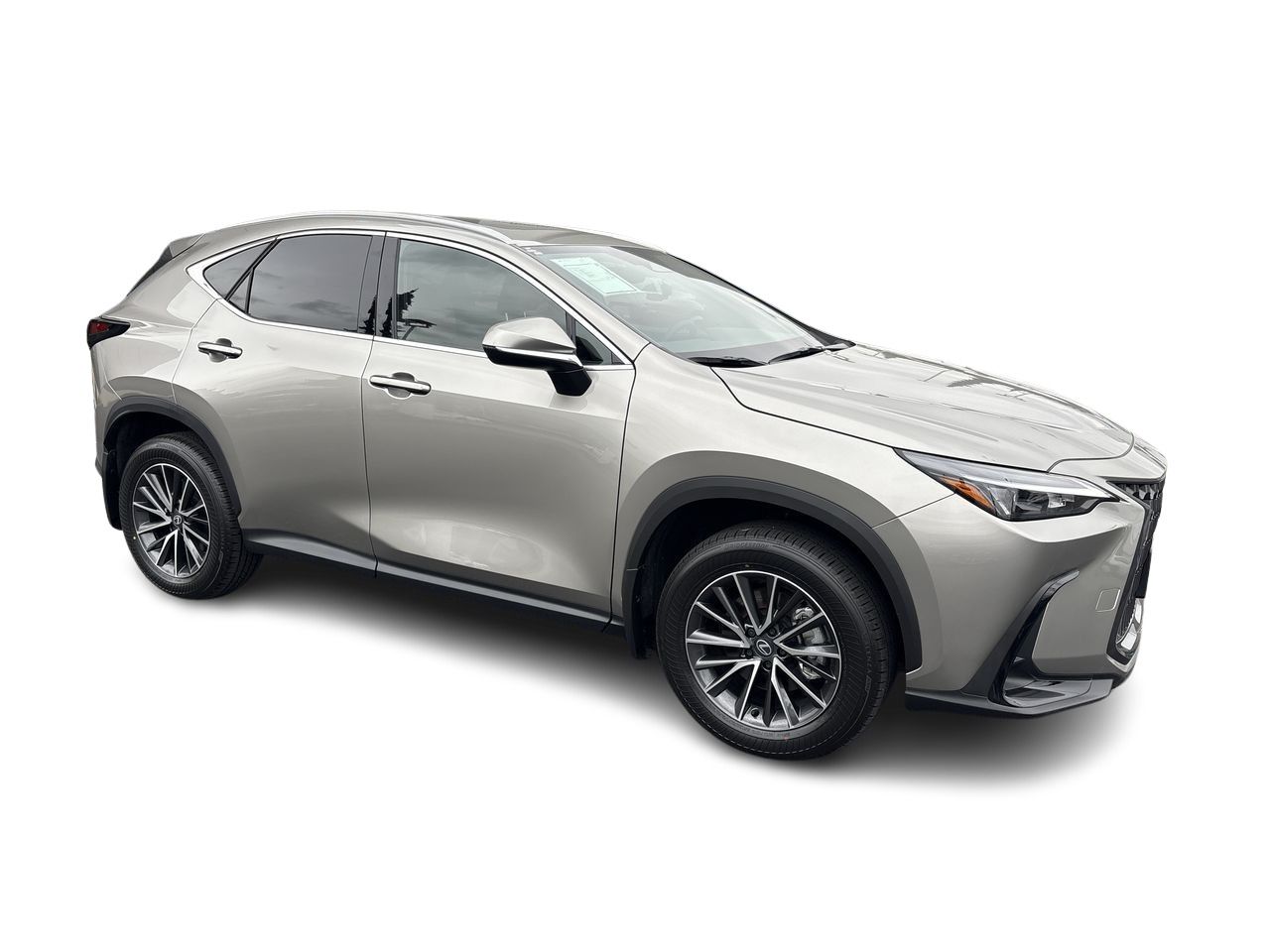 2026 Lexus NX