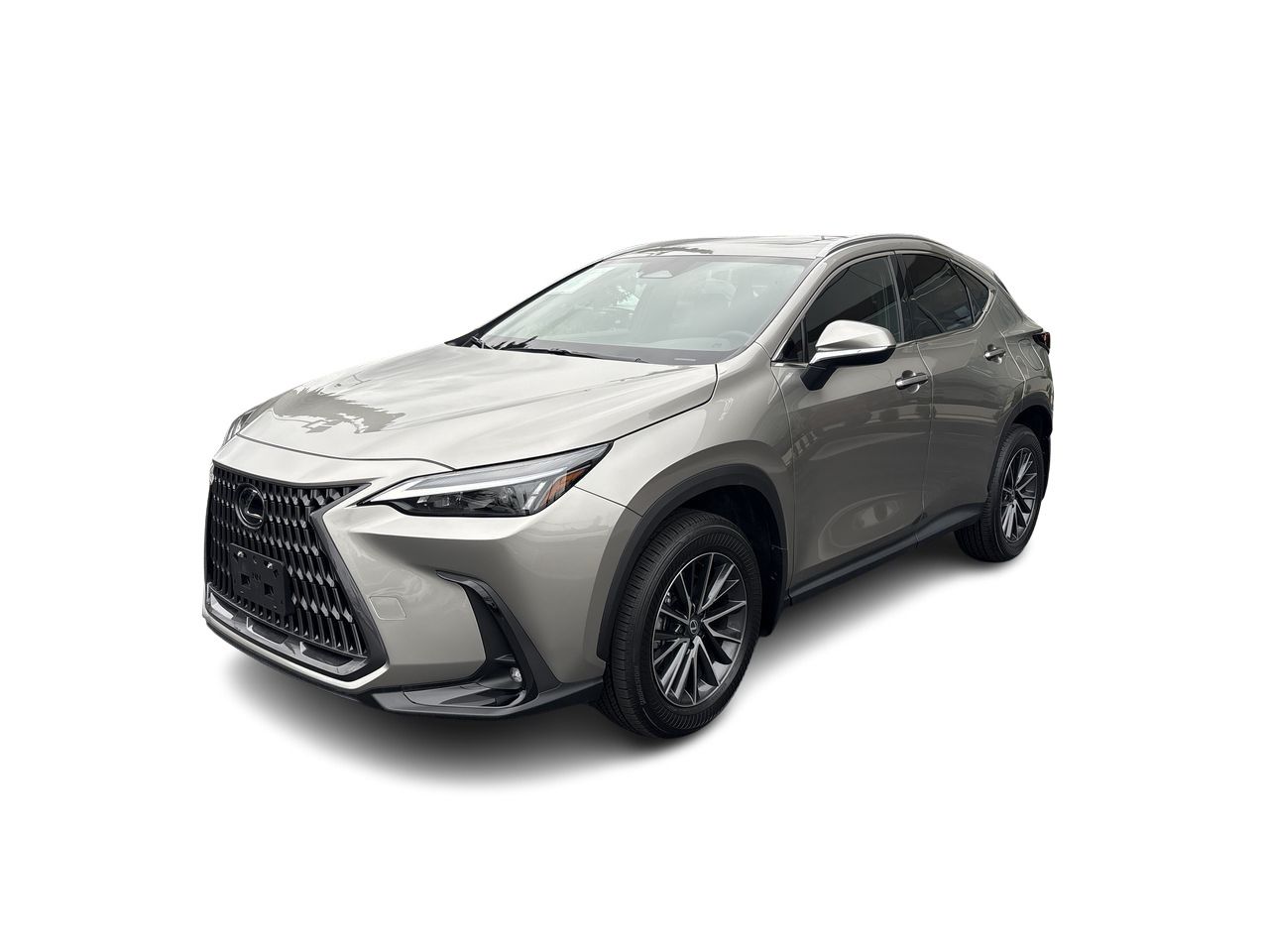 2026 Lexus NX