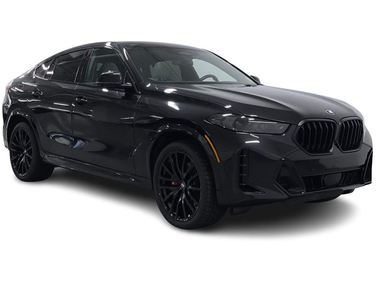 2026 BMW X6