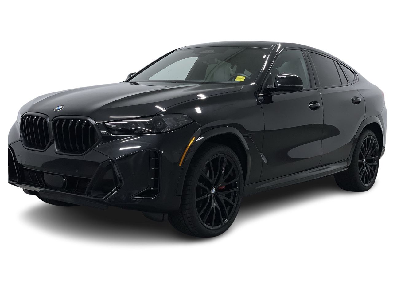 2026 BMW X6