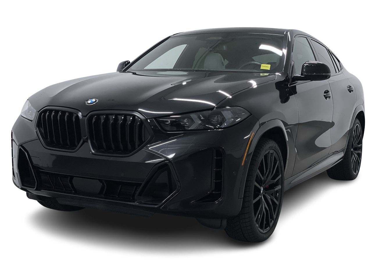 2026 BMW X6