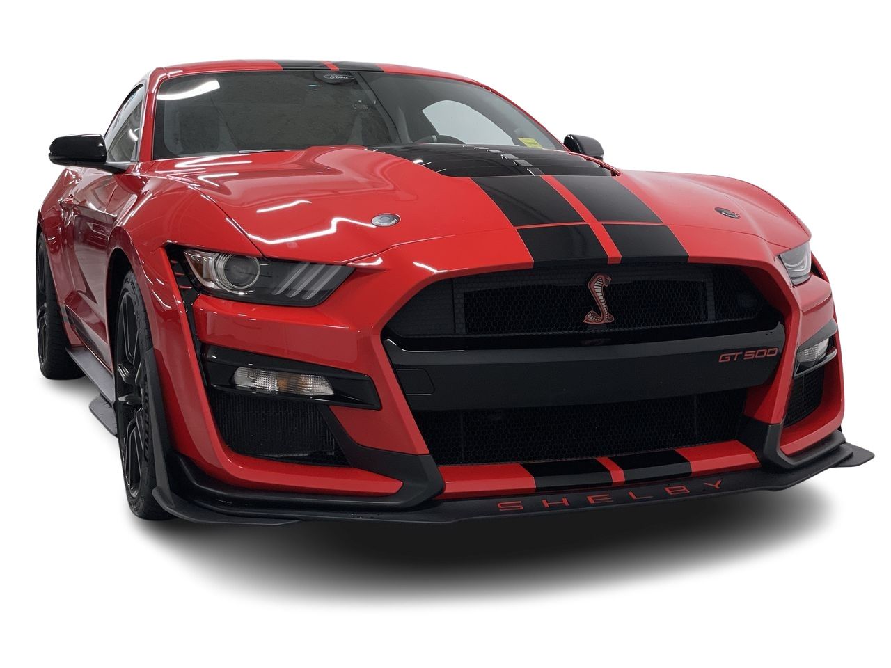 2021 Ford Shelby