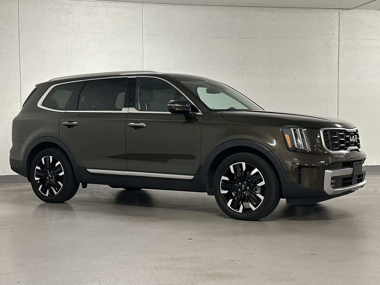 2023  Telluride