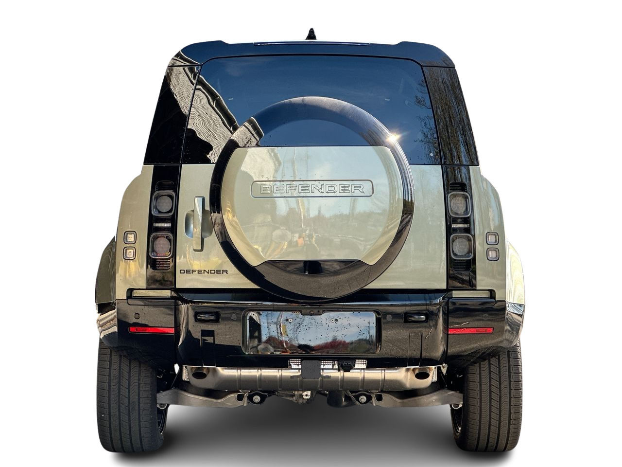 2025 Land Rover DEFENDER 110 Mild Hybrid in Vancouver, British Columbia