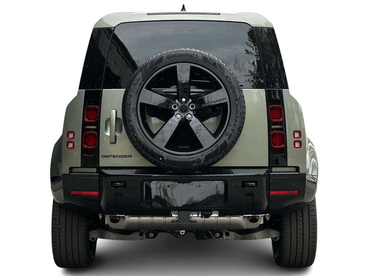 2025 Land Rover DEFENDER 110 Mild Hybrid in Vancouver, British Columbia
