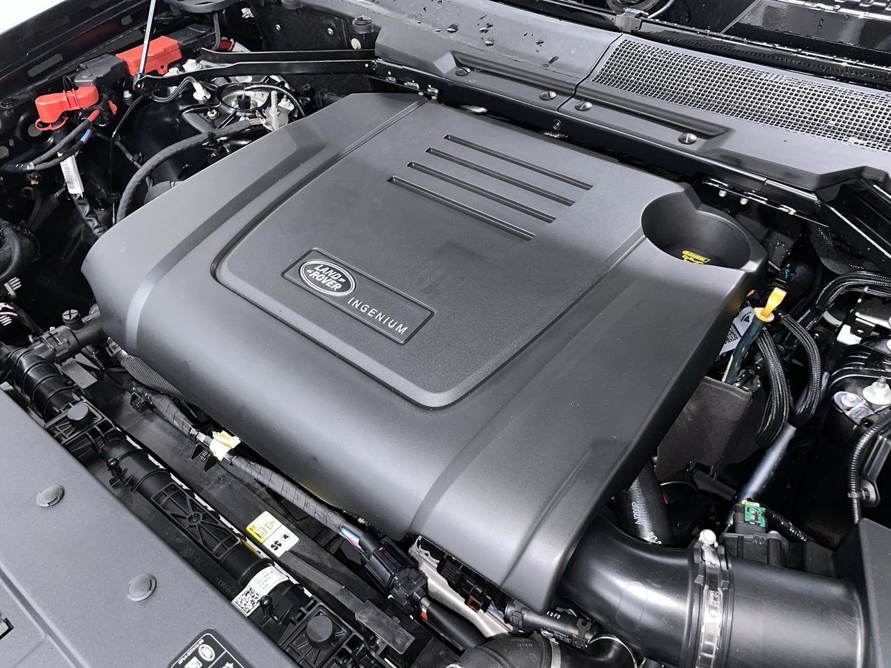 2025 Land Rover Defender