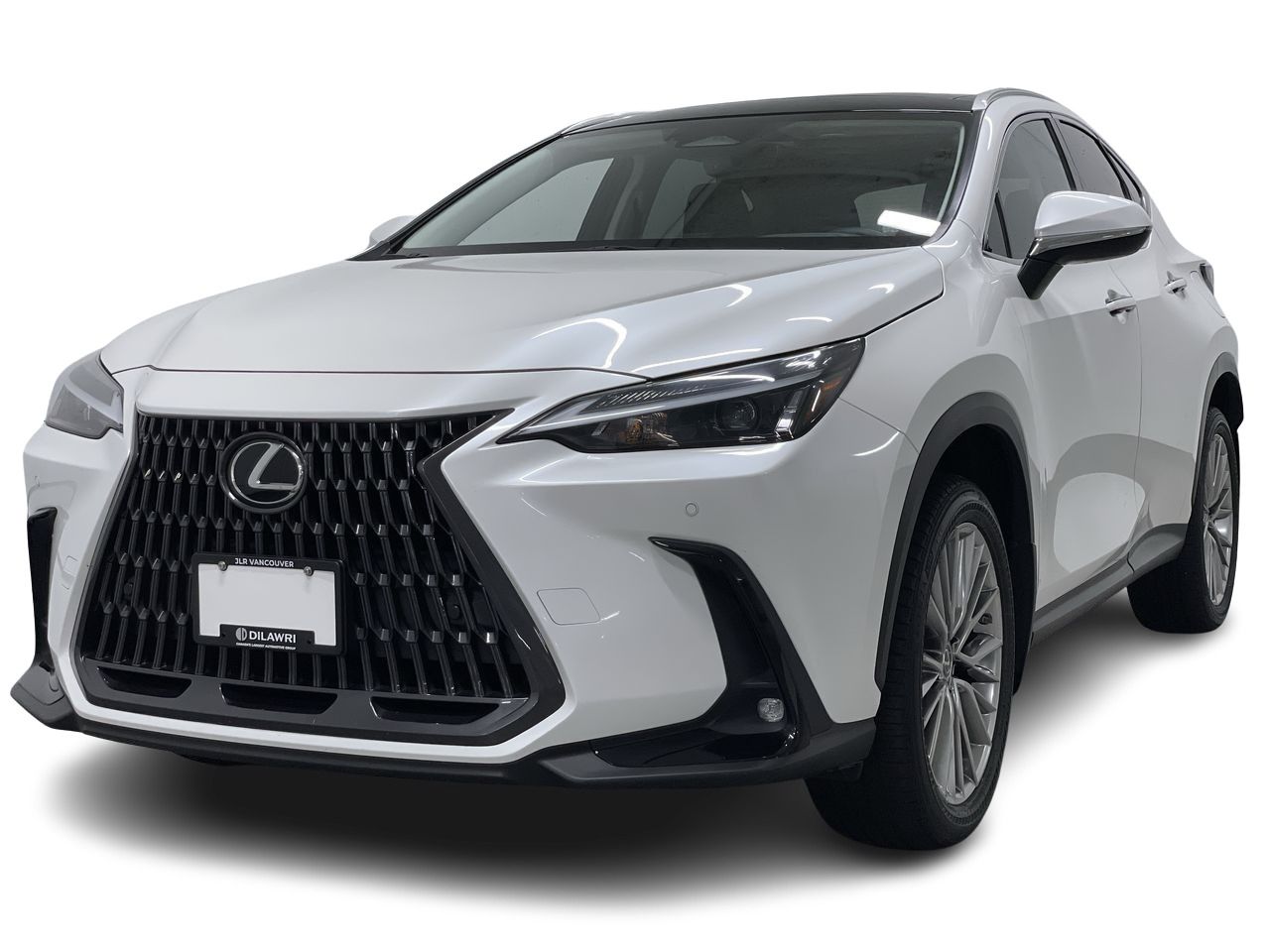 2022  NX