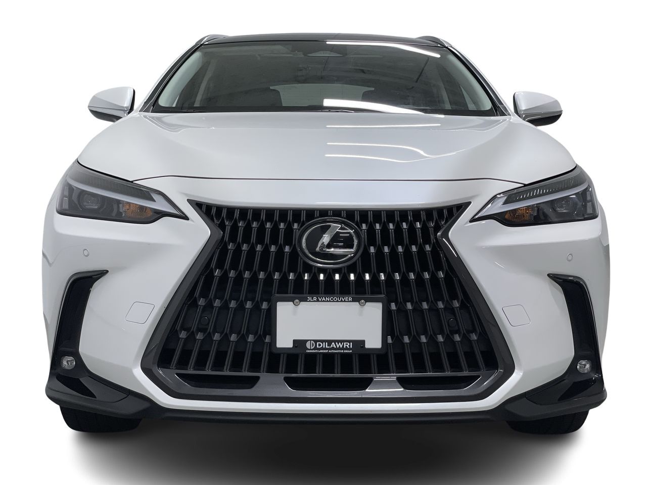 2022  NX