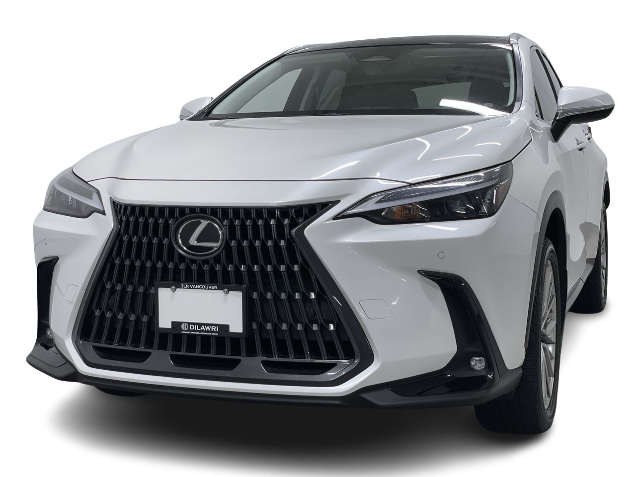 2022  NX