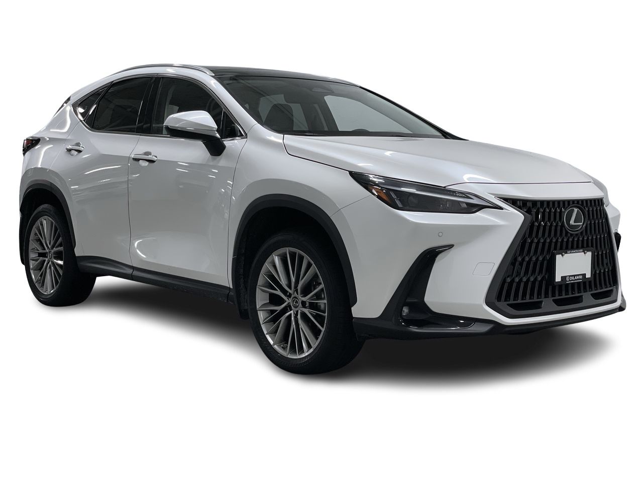2022  NX