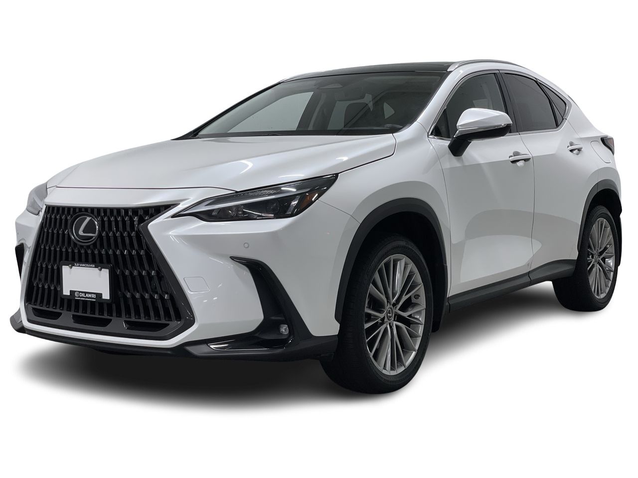 2022  NX