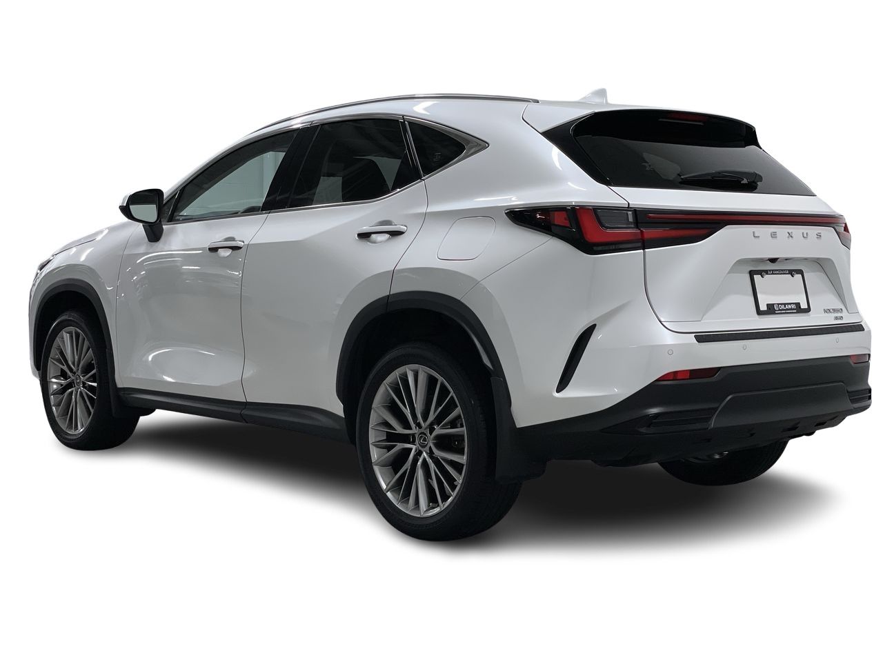 2022  NX