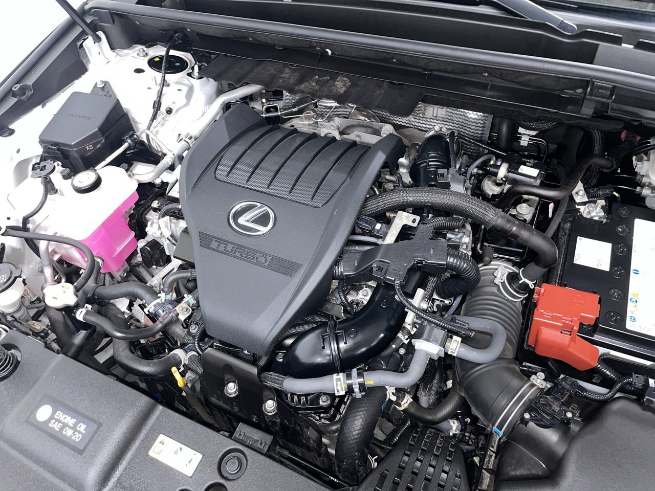 2022  NX
