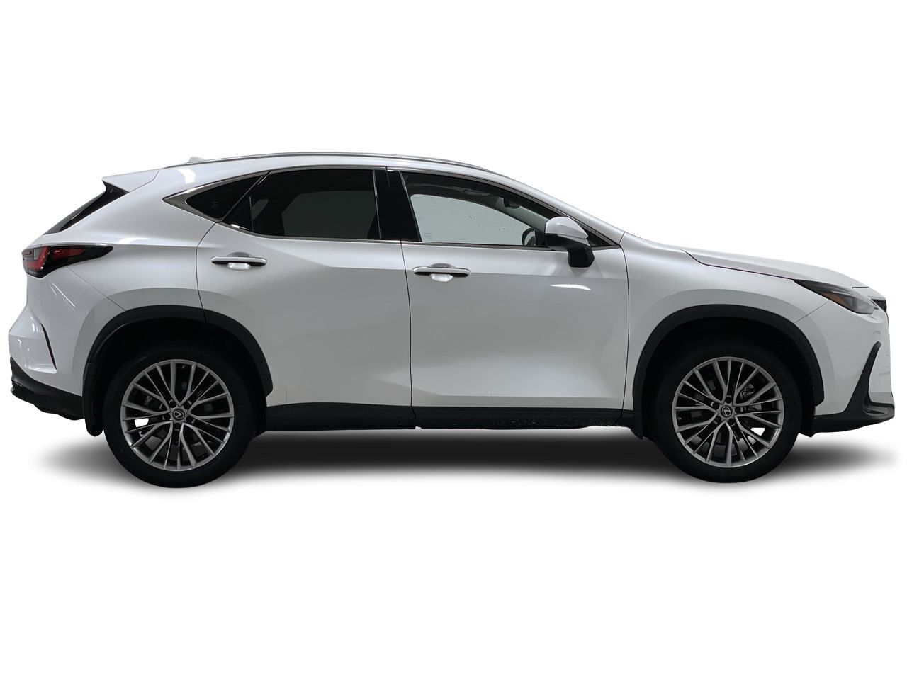 2022  NX