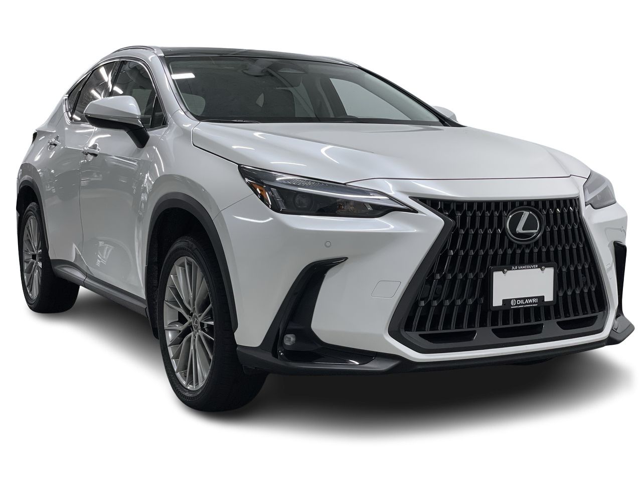 2022  NX