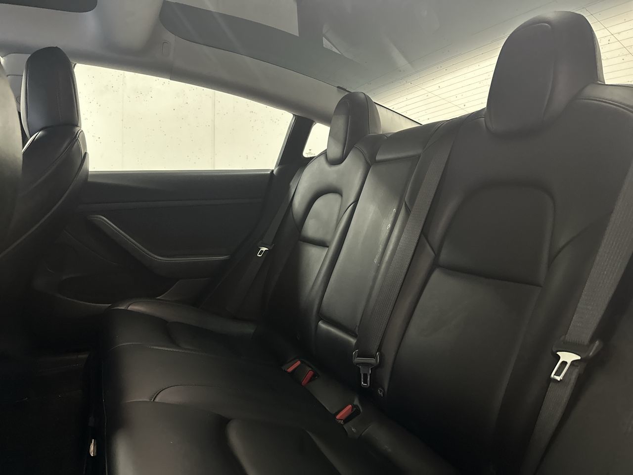 2021  Model 3