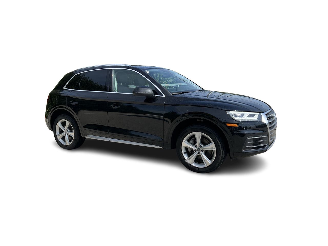 2018 Audi Q5 in Langley, British Columbia