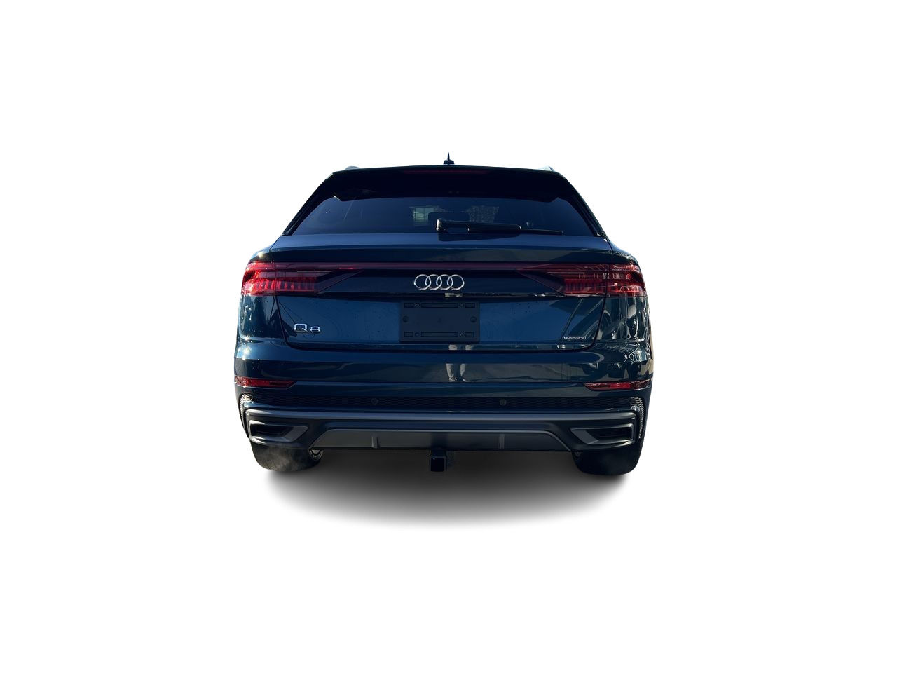2019 Audi Q8 in Langley, British Columbia