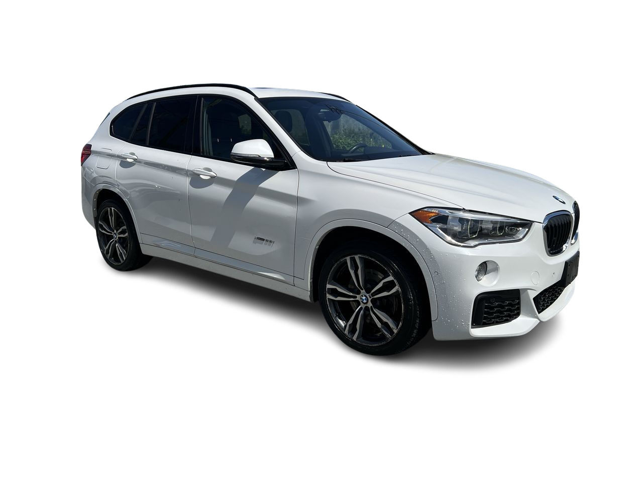 2017 BMW X1 in Langley, British Columbia