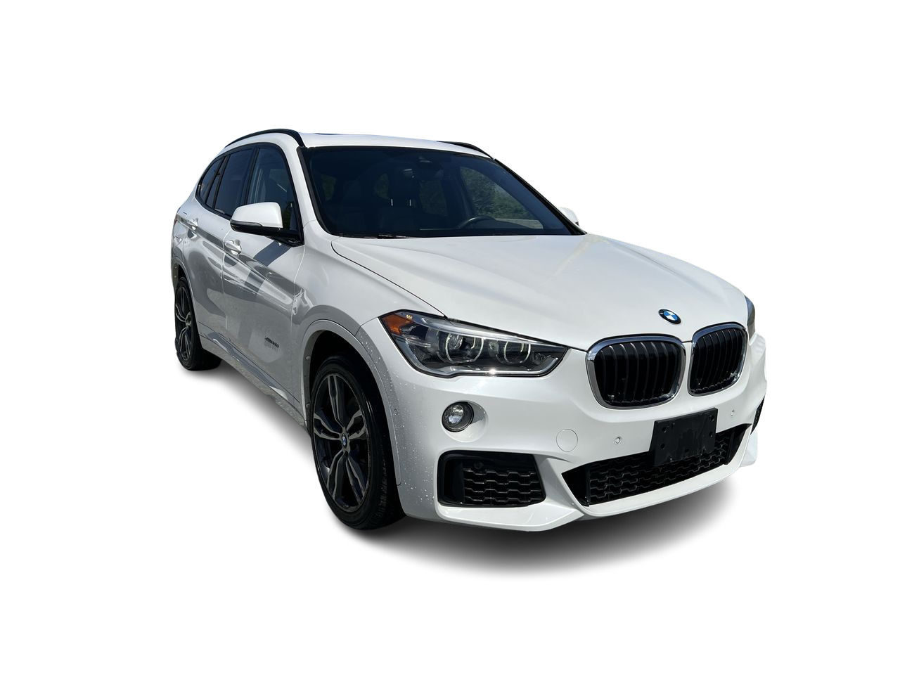 2017 BMW X1 in Langley, British Columbia