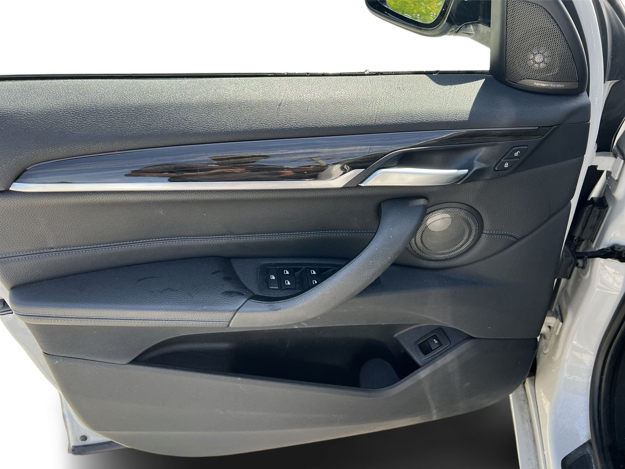 2017 BMW X1 in Langley, British Columbia