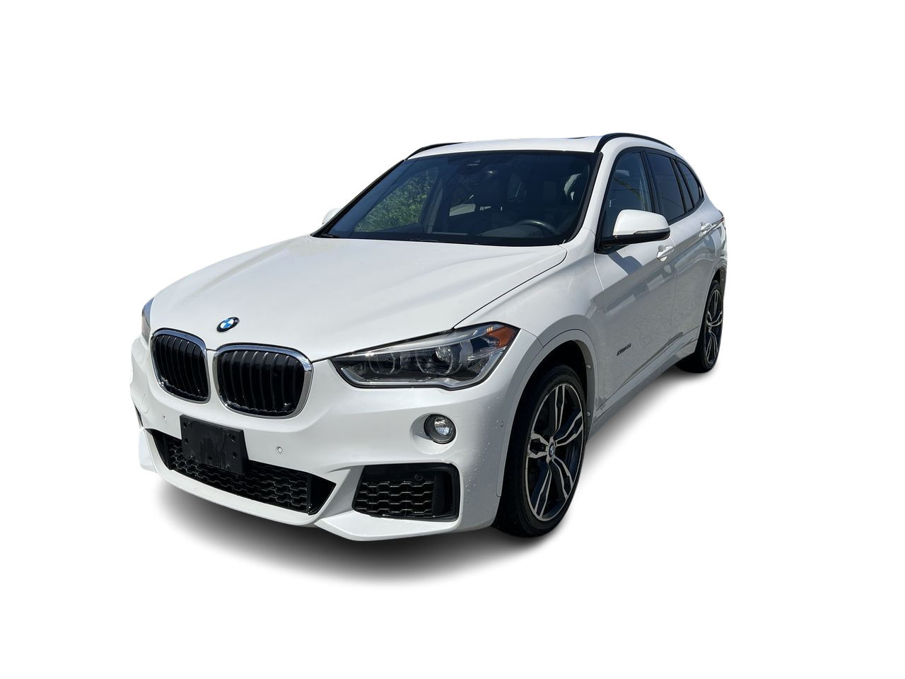 2017 BMW X1 in Langley, British Columbia