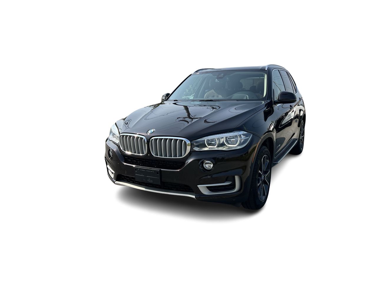 2014 BMW X5 in Langley, British Columbia