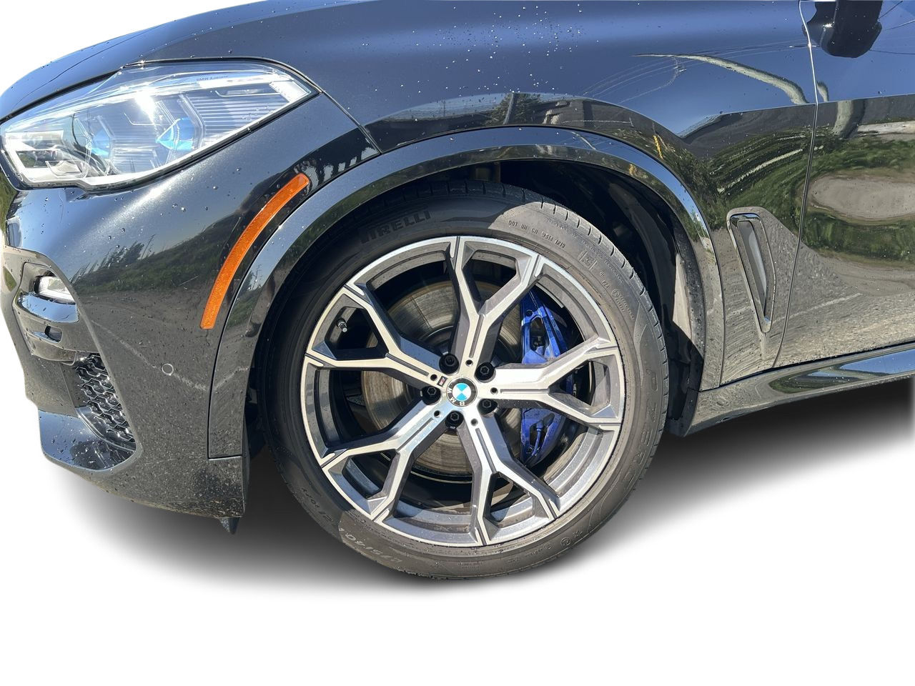 2019 BMW X5 in Langley, British Columbia