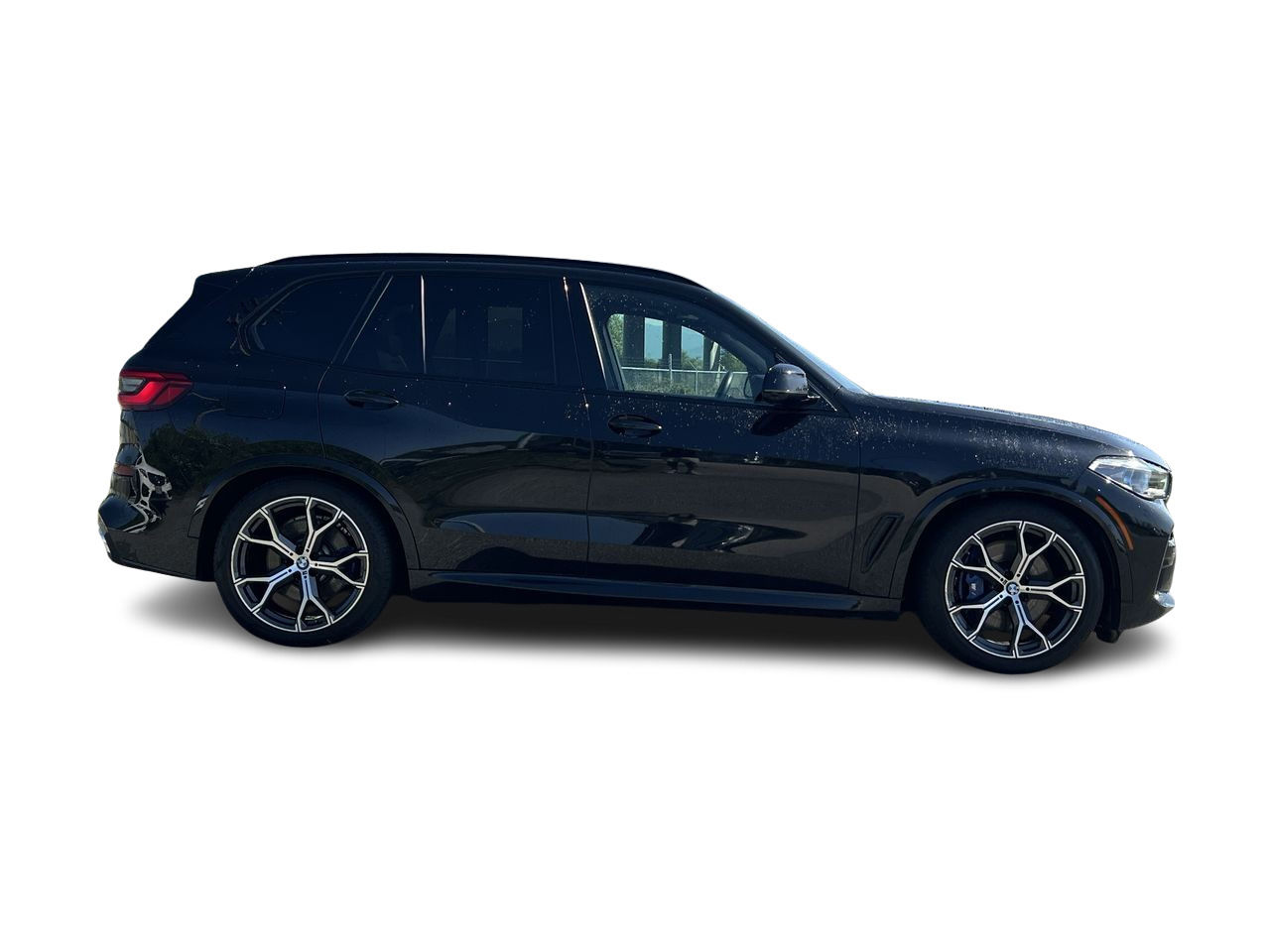 2019 BMW X5 in Langley, British Columbia