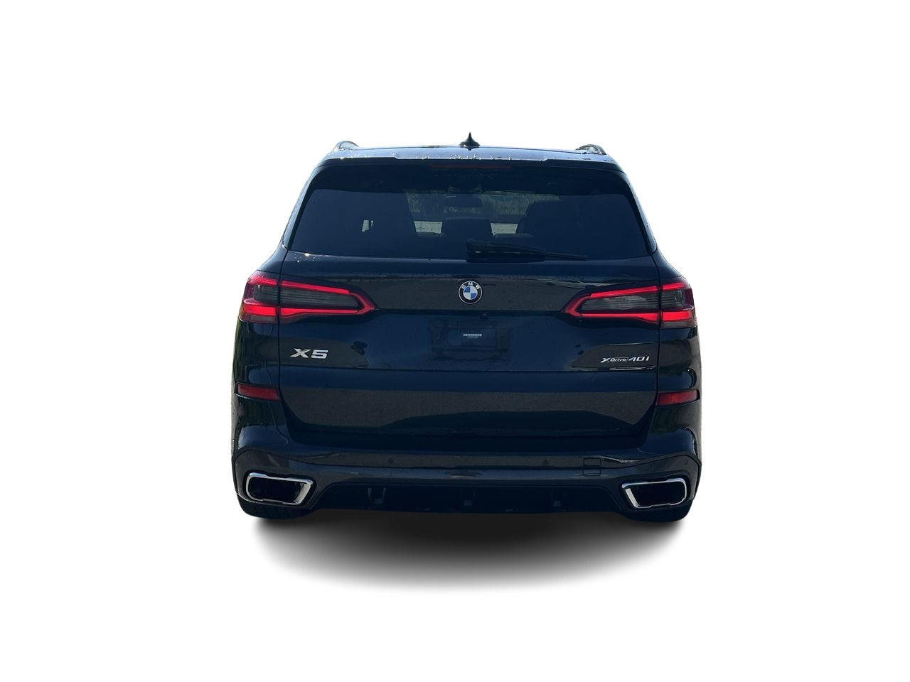 2019 BMW X5 in Langley, British Columbia