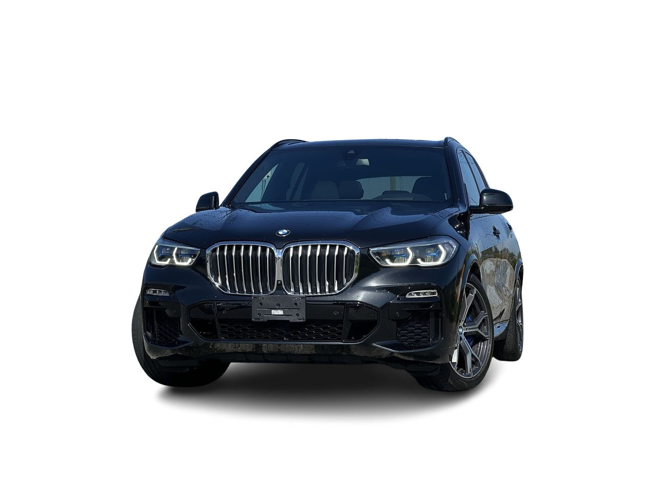 2019 BMW X5 in Langley, British Columbia