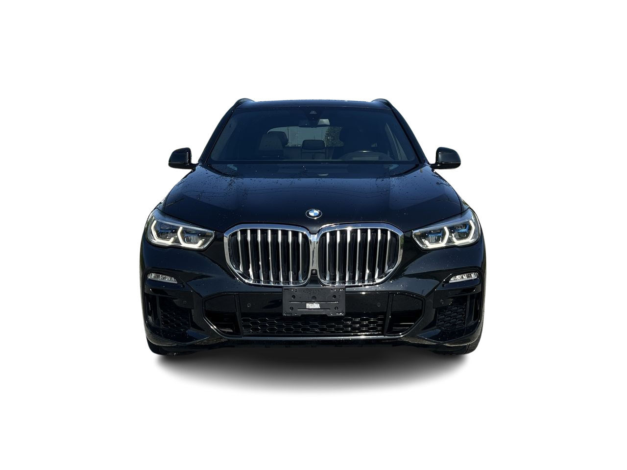 2019 BMW X5 in Langley, British Columbia