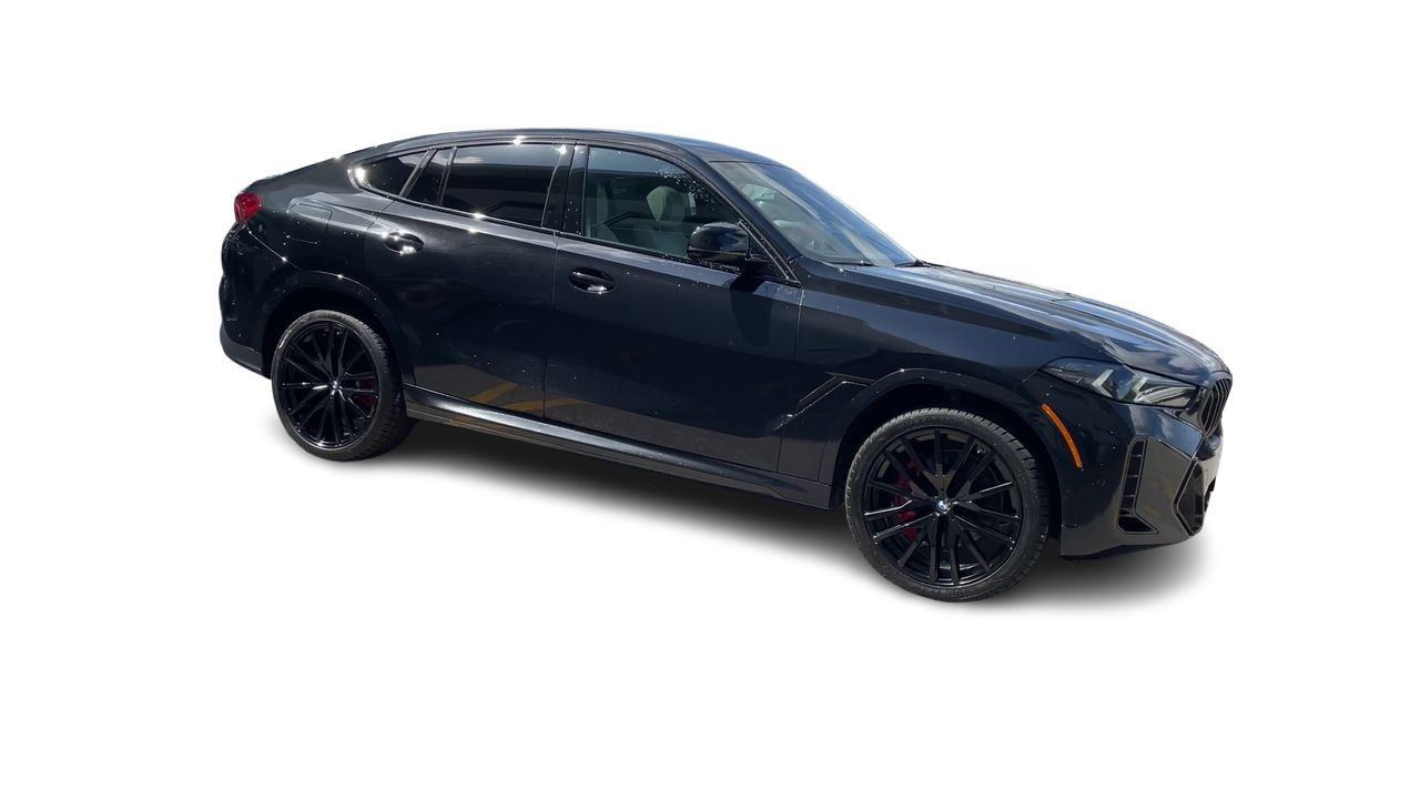 2026 BMW X6
