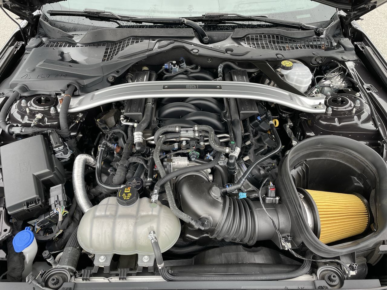 2022 Ford Mustang