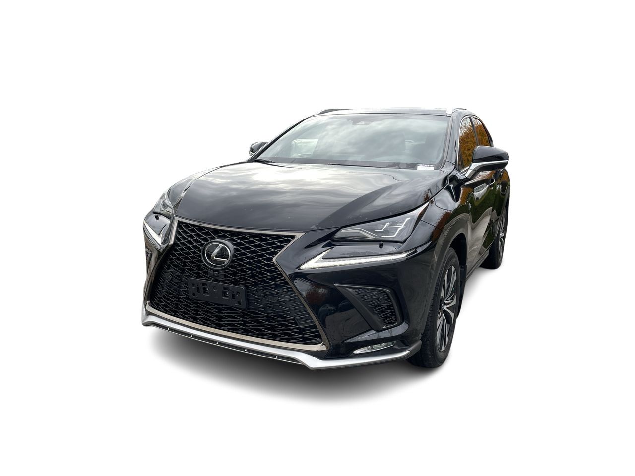 2018 Lexus NX 300