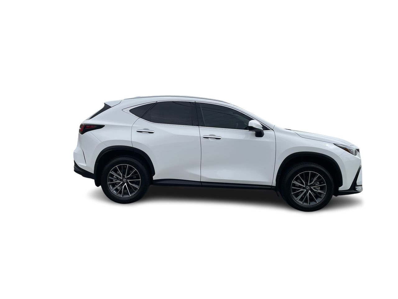 2026 Lexus NX