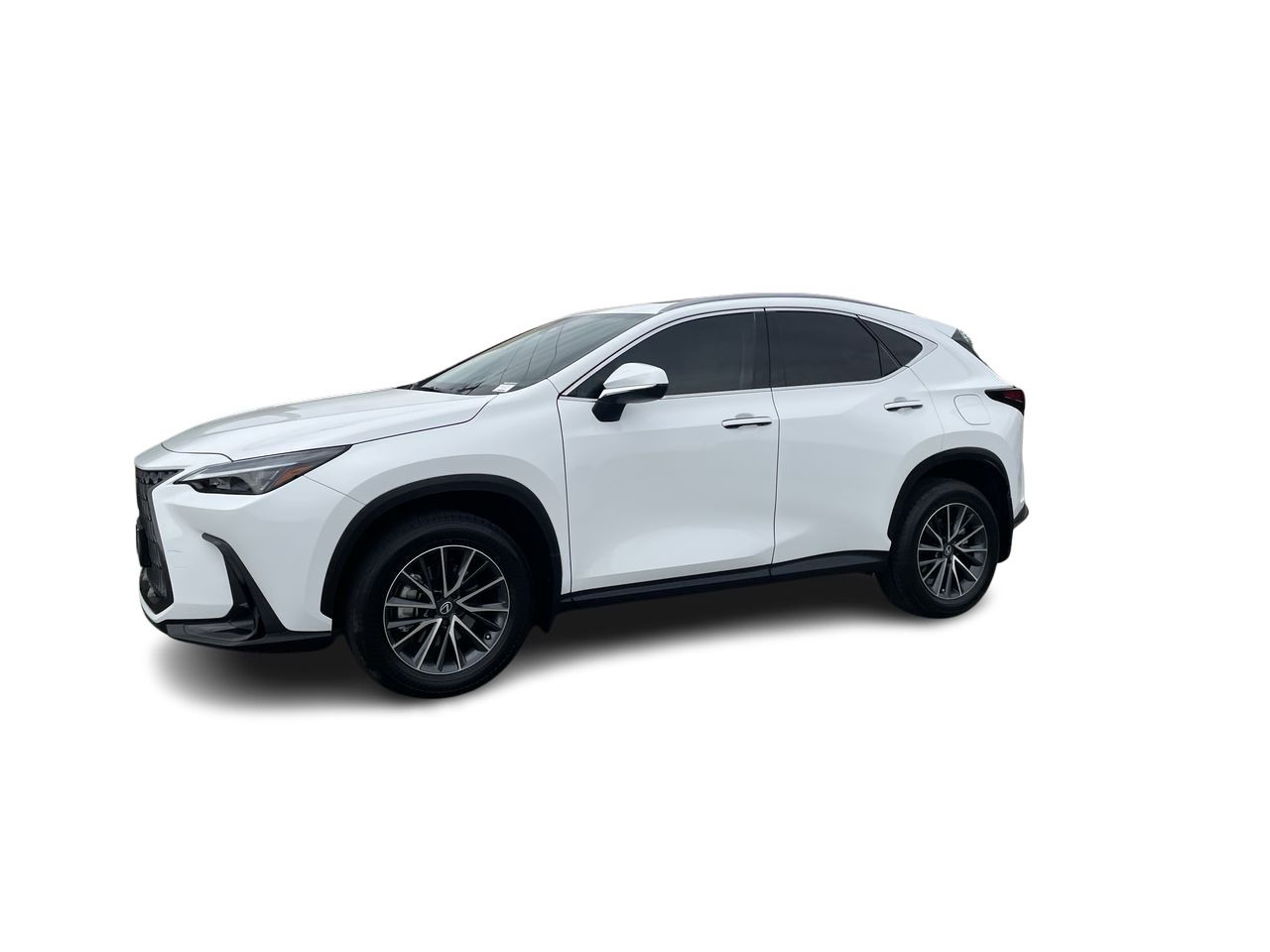 2026 Lexus NX