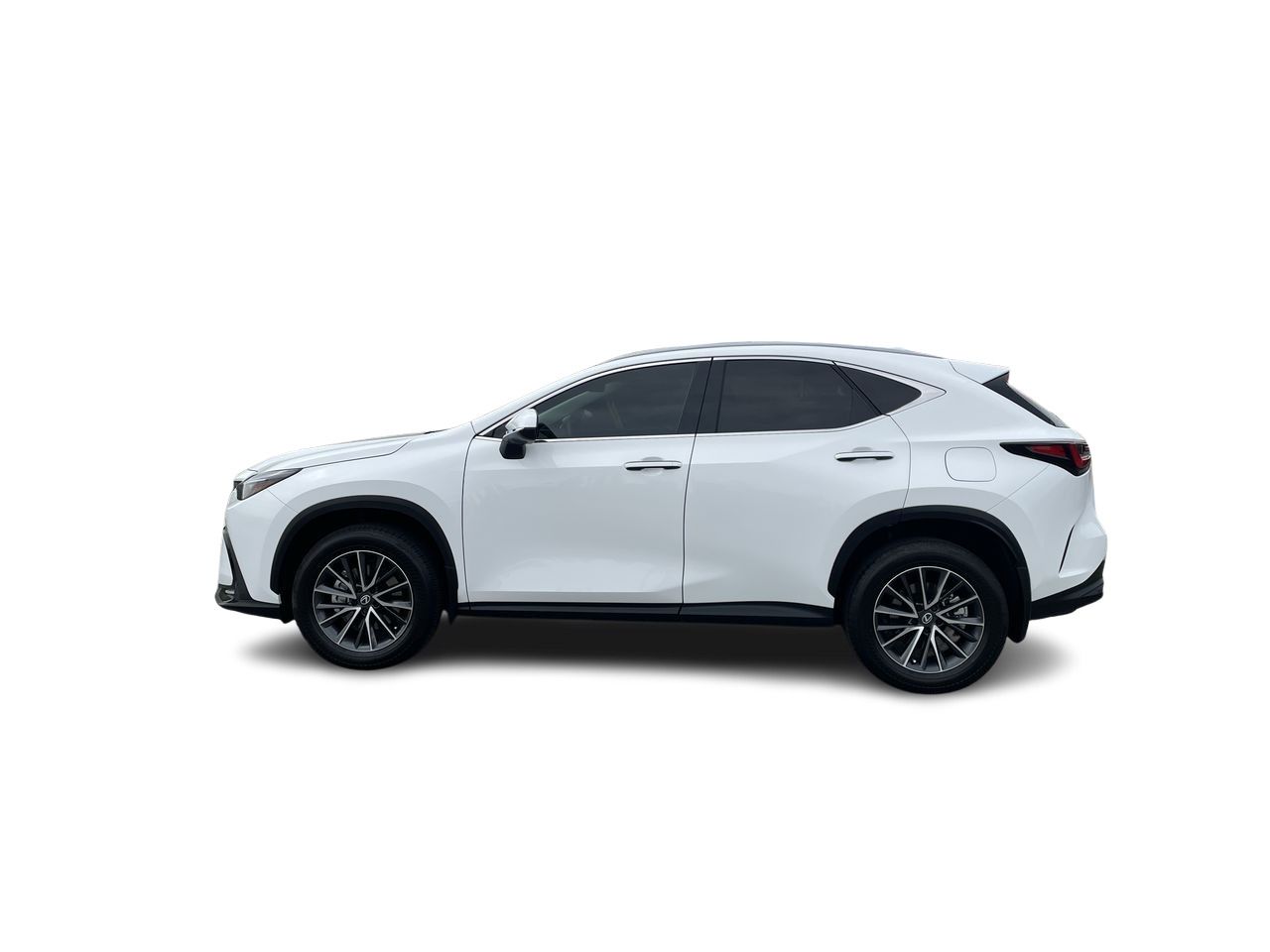 2026 Lexus NX