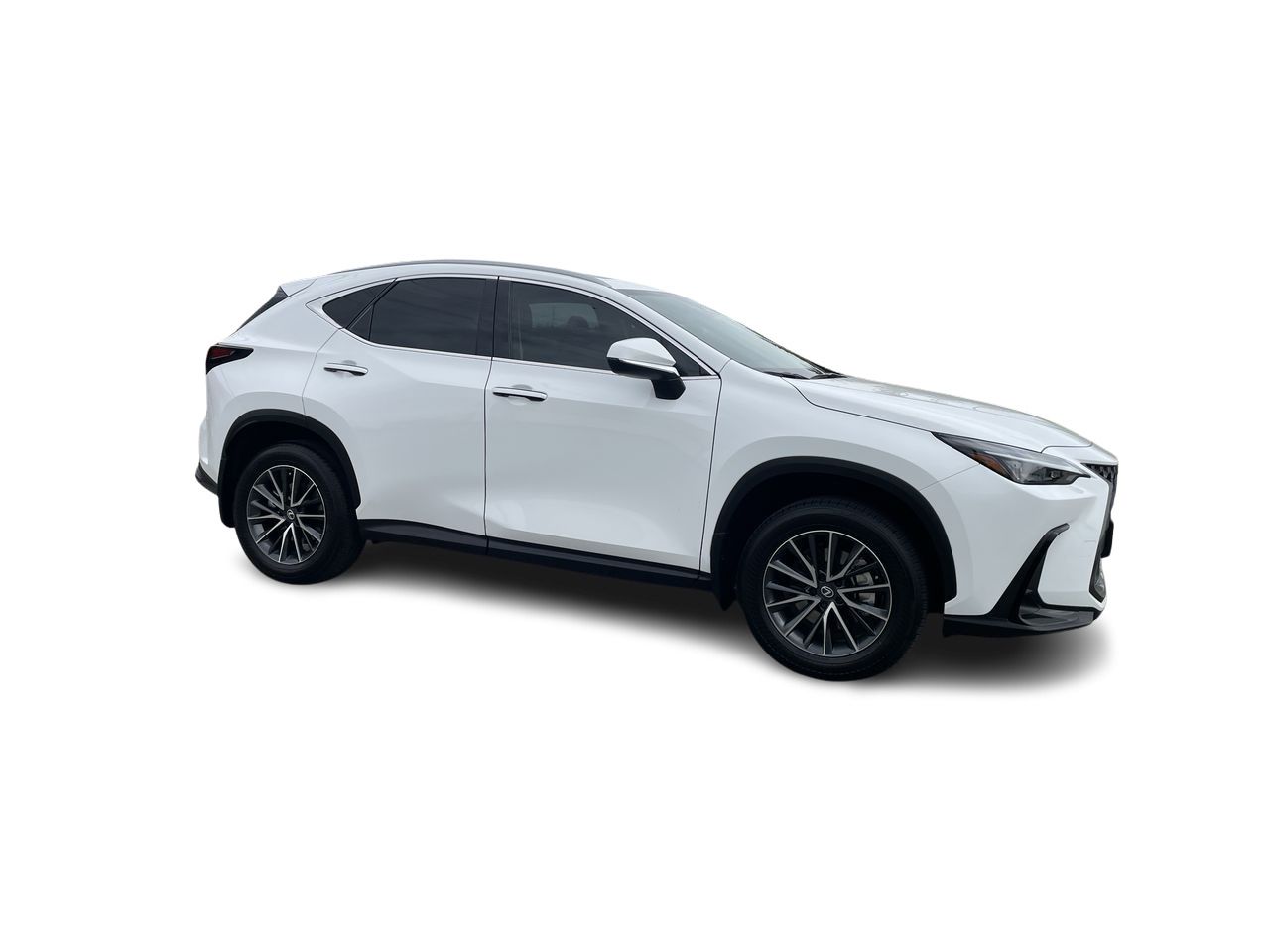 2026 Lexus NX