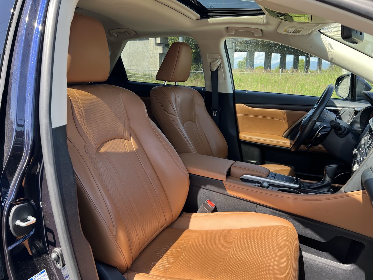 2022 Lexus RX in Langley, British Columbia