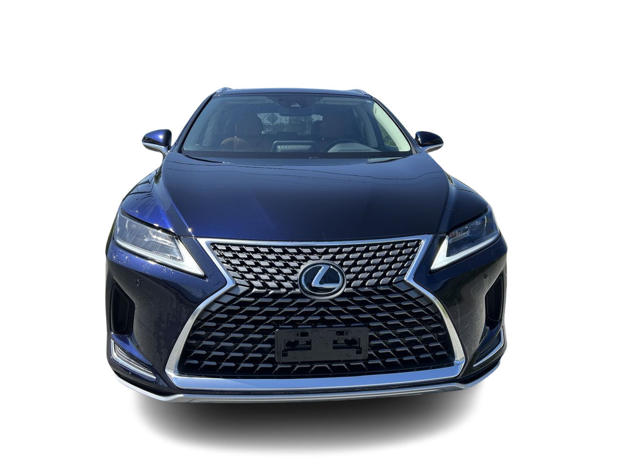 2022 Lexus RX in Langley, British Columbia
