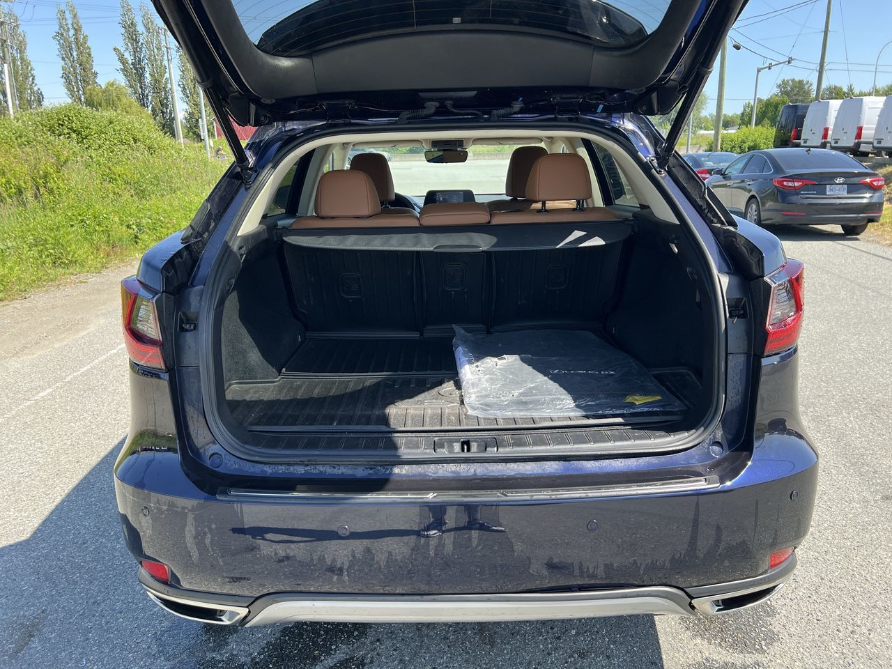 2022 Lexus RX in Langley, British Columbia