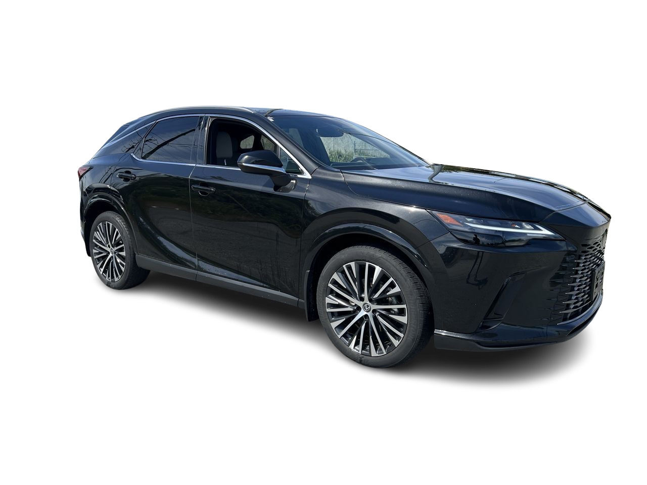 2023 Lexus RX in Langley, British Columbia