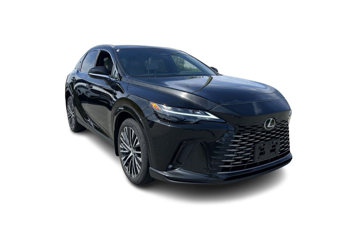 2023 Lexus RX in Langley, British Columbia