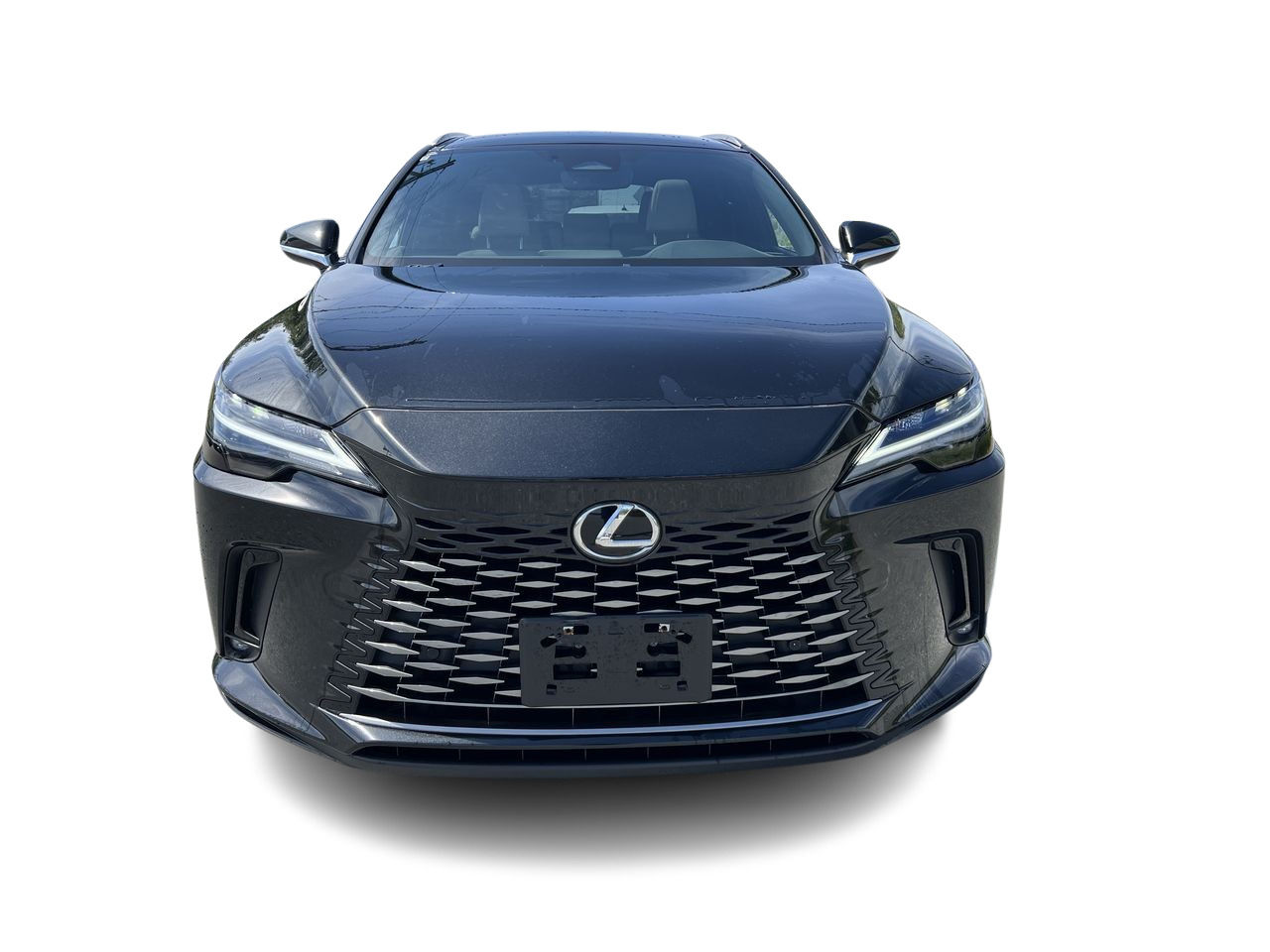 2023 Lexus RX in Langley, British Columbia