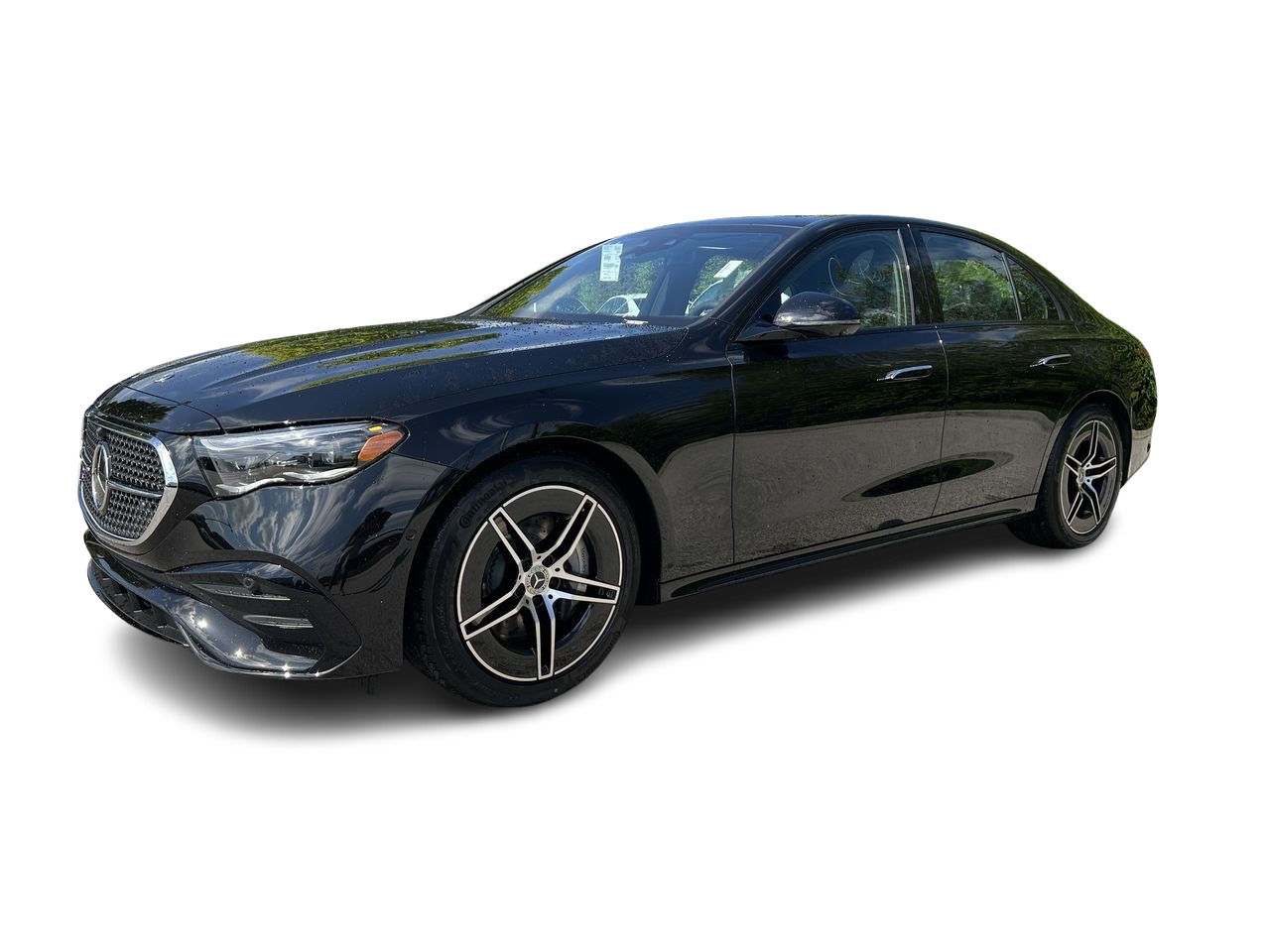 2025 Mercedes-Benz E-Class in Langley, British Columbia