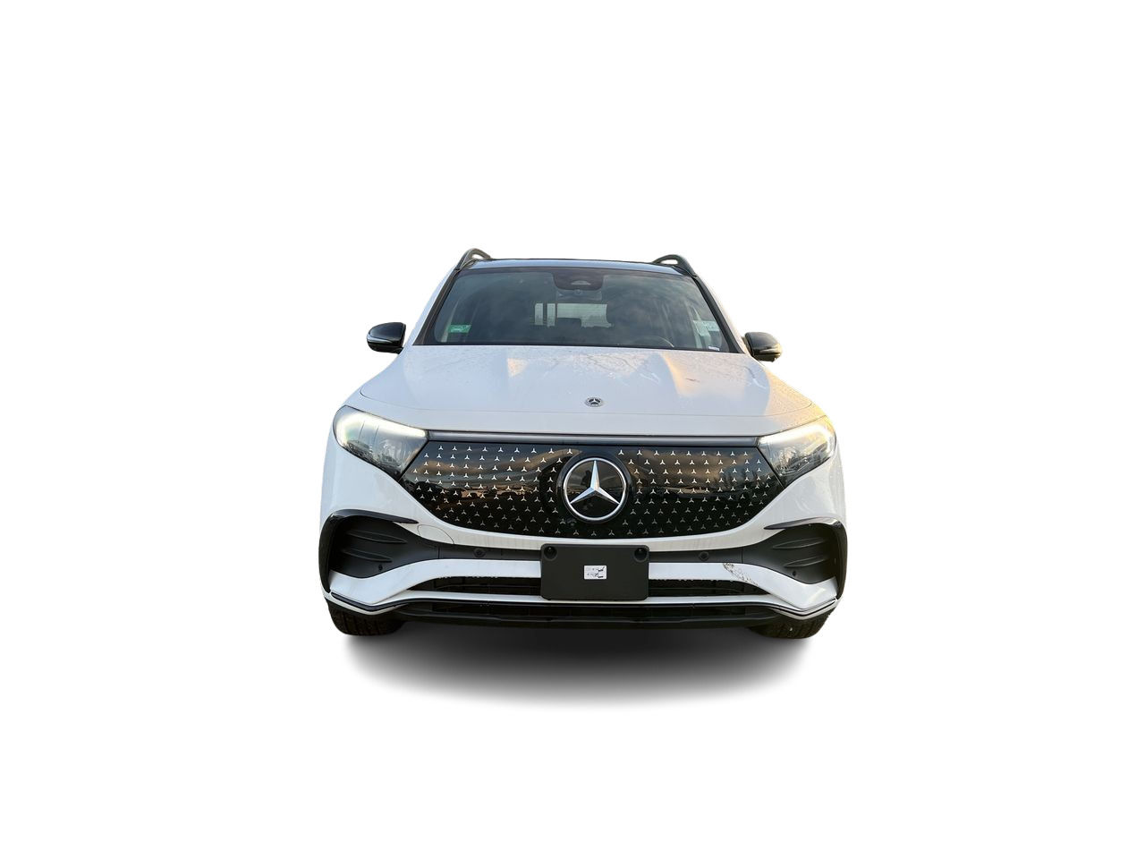 2024 Mercedes-Benz EQB in Langley, British Columbia