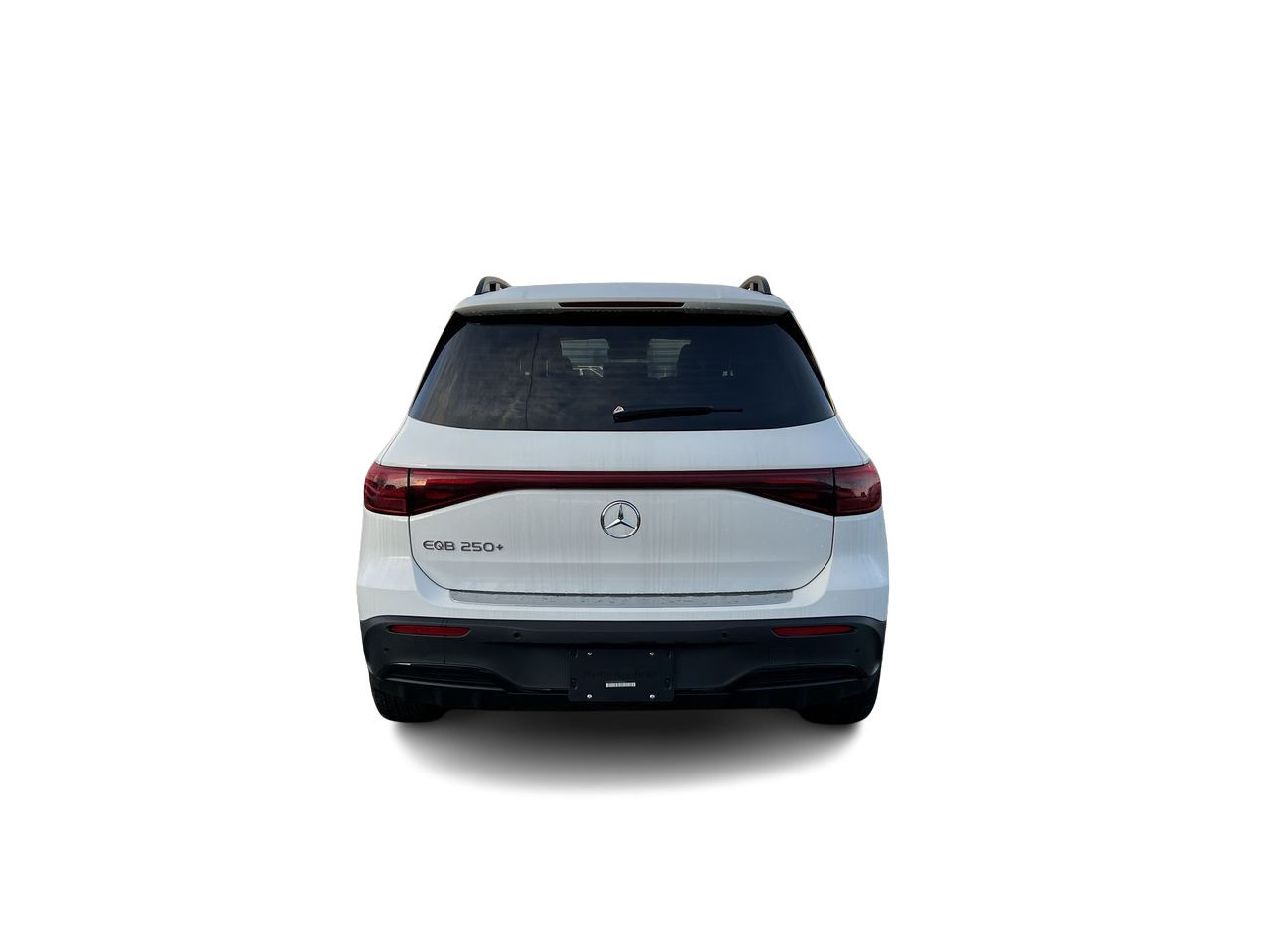 2024 Mercedes-Benz EQB in Langley, British Columbia